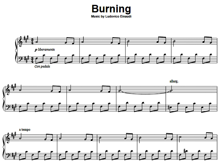 Ludovico Einaudi-Burning