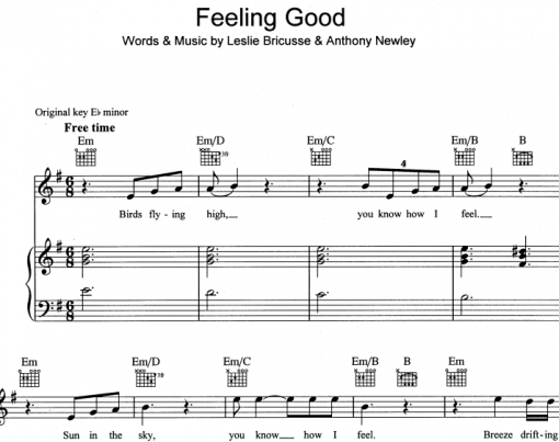 Michael Buble-Feeling Good