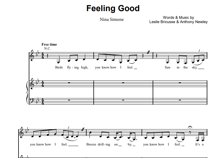 Nina Simone-Feeling Good