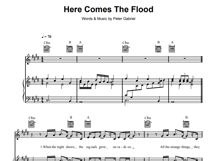 Peter Gabriel-Here Comes The Flood
