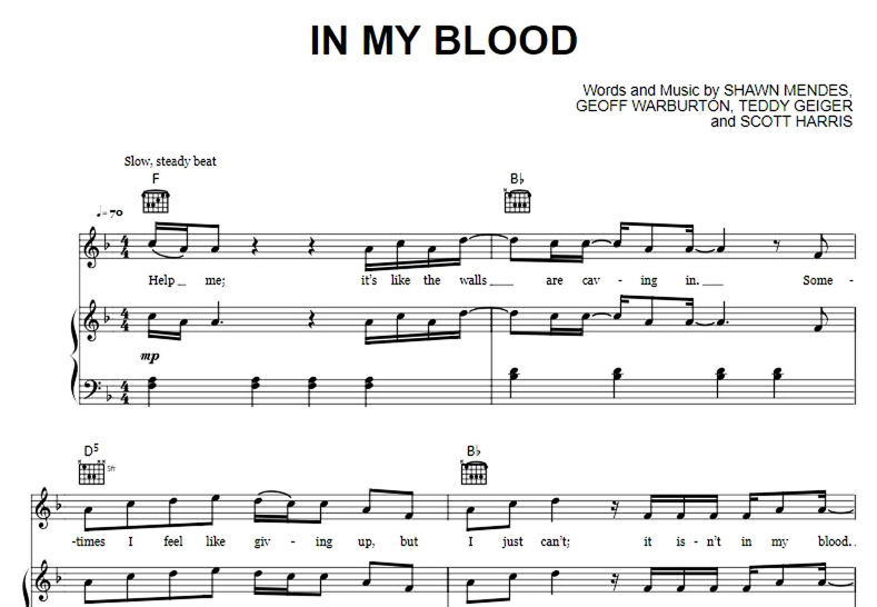 Shawn Mendes-In My Blood