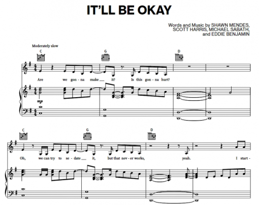 Shawn Mendes-It’ll Be Okay