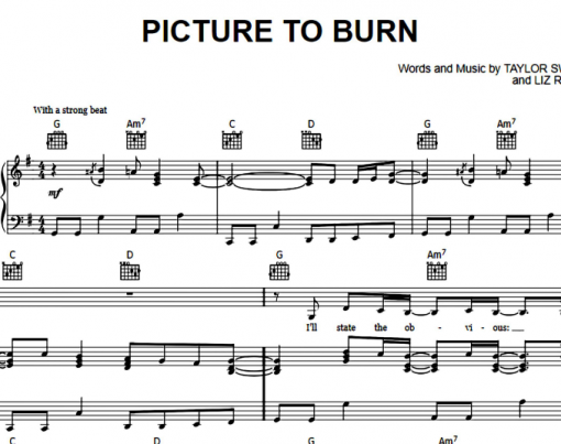 Taylor Swift-Picture To Burn