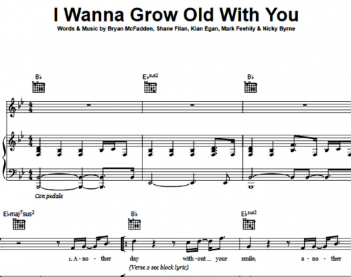 Westlife-I Wanna Grow Old With You