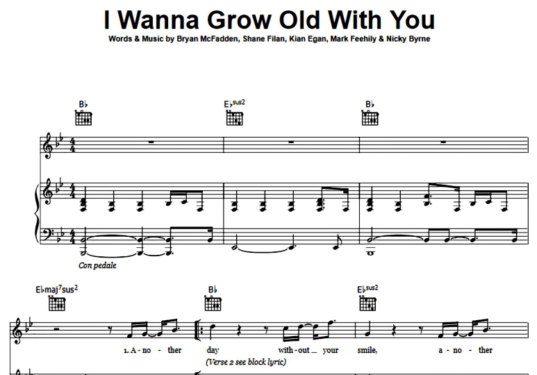 Westlife-I Wanna Grow Old With You